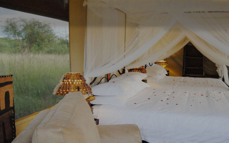 Tanzania Bush Camps