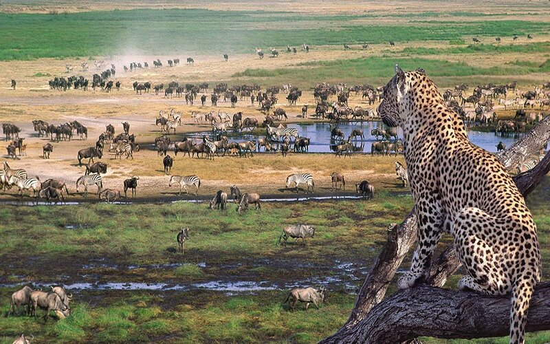 Serengeti – Ngorongoro Crater