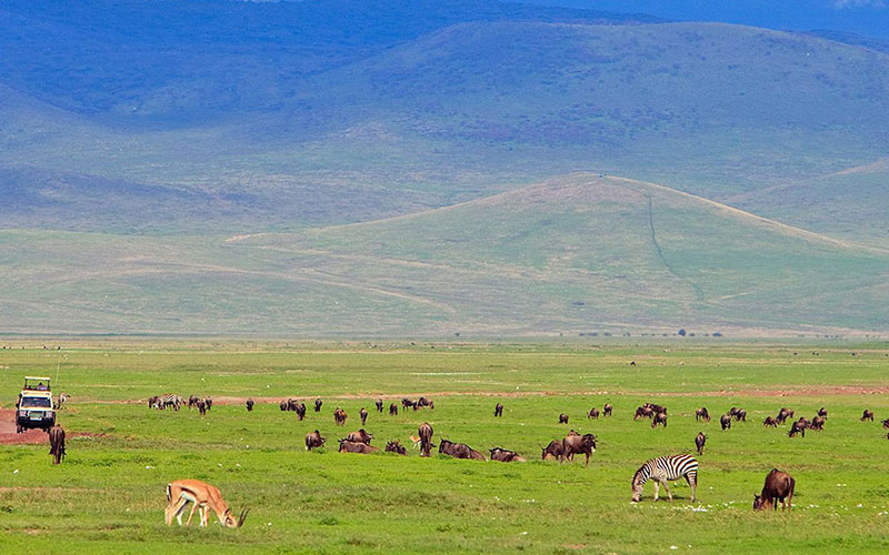 Lake Manyara National Park - Ngorongoro Crater