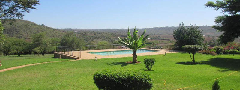 Tarangire Area - Lake Manyara National Park