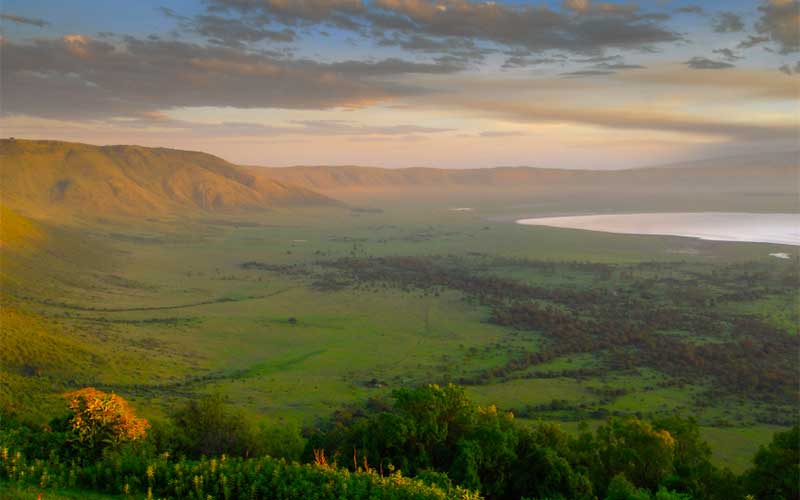 Full day Ngorongoro Crater Tour
