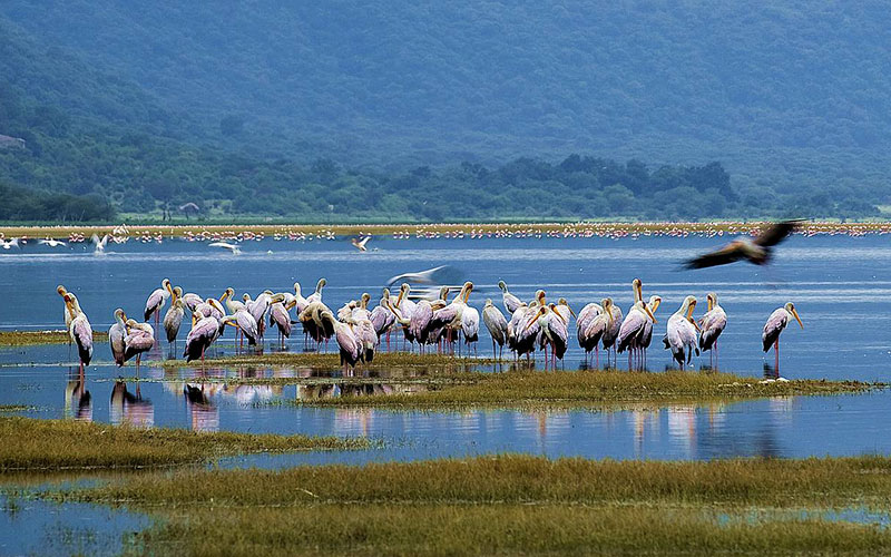 Lake Manyara Park