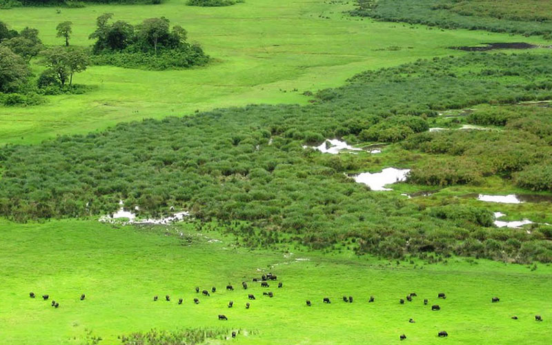 Arusha National Park