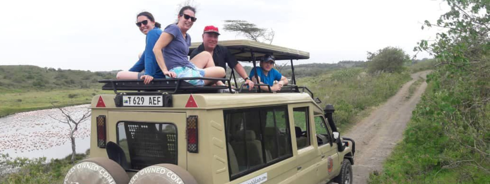 2 Nights Tanzania Elephant Safari